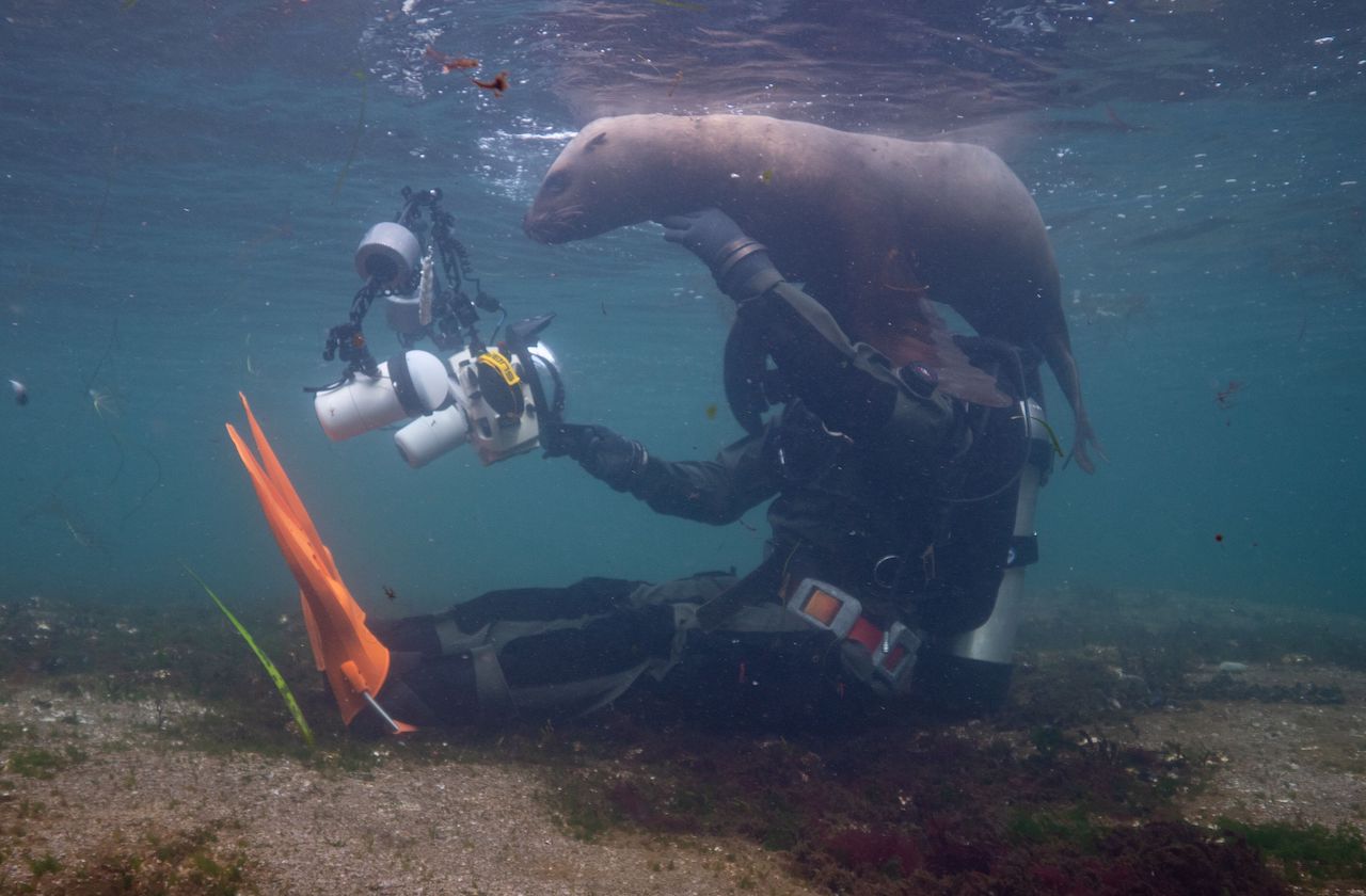 30 of Your Funniest Awkward Underwater Moments