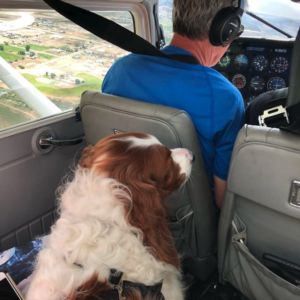 Lance Weekley photo. 