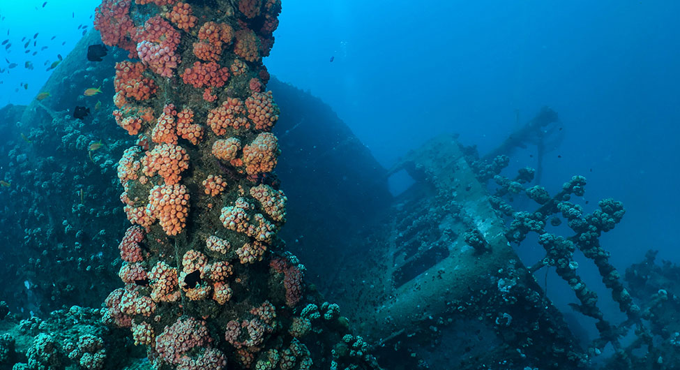 Wrecks of Sri Lanka underwater