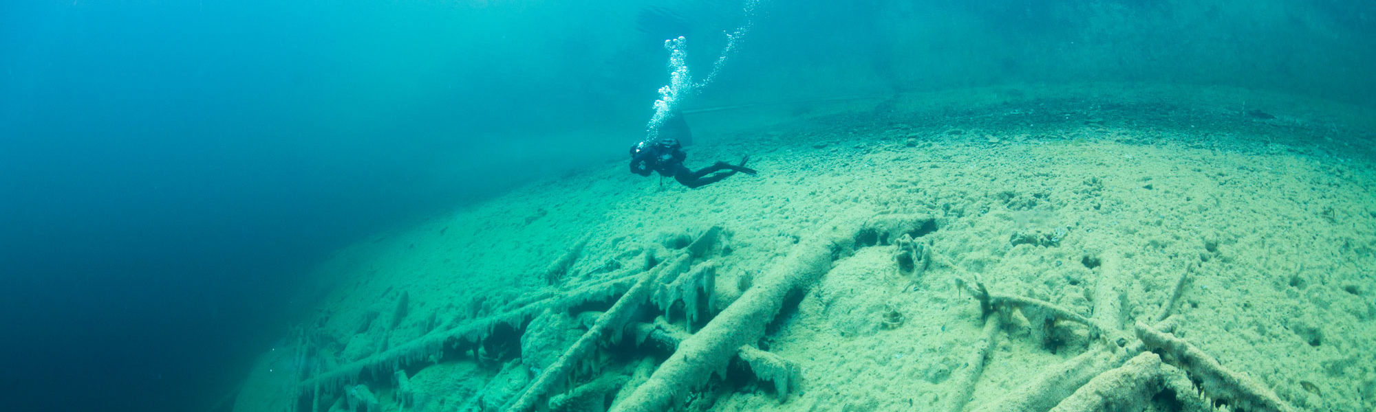 Trilaminate | Womens