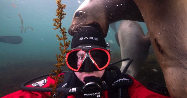 man underwater with seal bitting his head