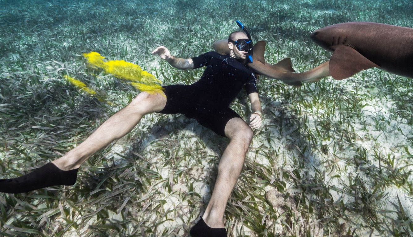 William Drumm photo.