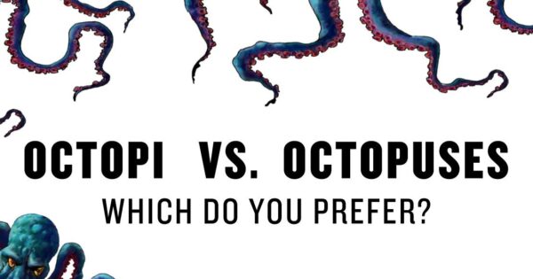 Octopi vs. Octopuses: Which Do You Prefer?