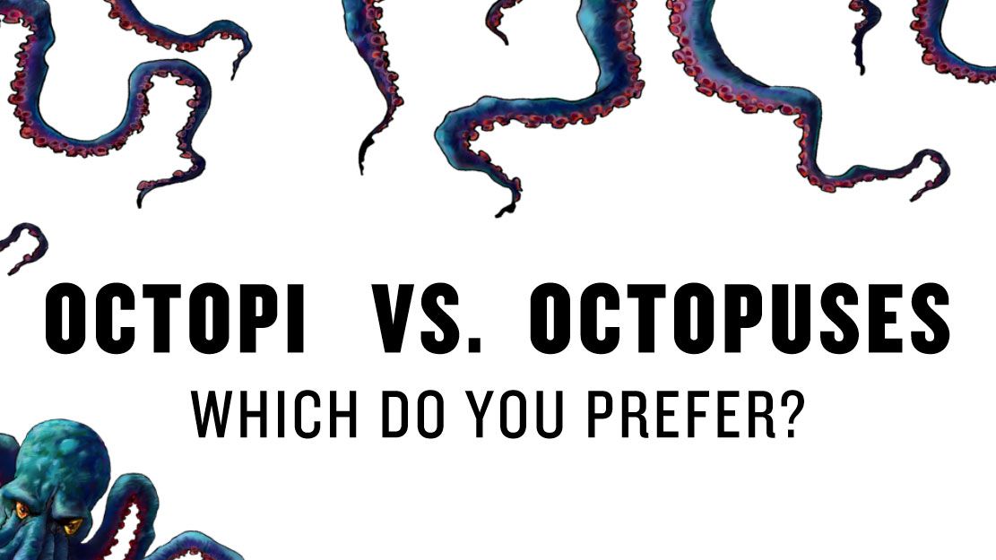 Octopi vs. Octopuses: Which Do You Prefer?