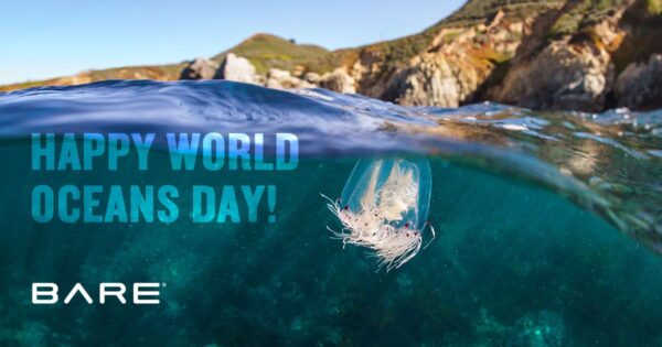 World Oceans Day