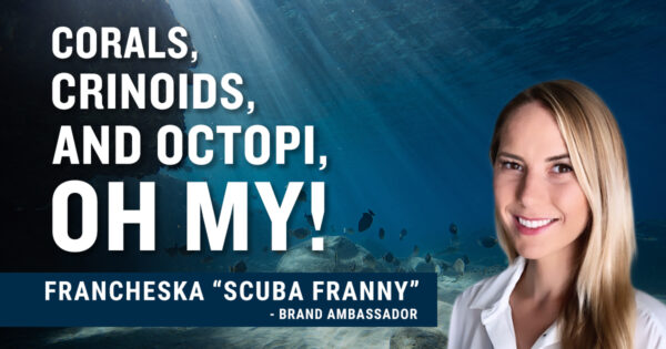 Corals, crinoids, and octopi, OH MY! Francheska "scuba franny"-brand ambassador