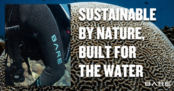 Sustainable by Nature Blog Post Header